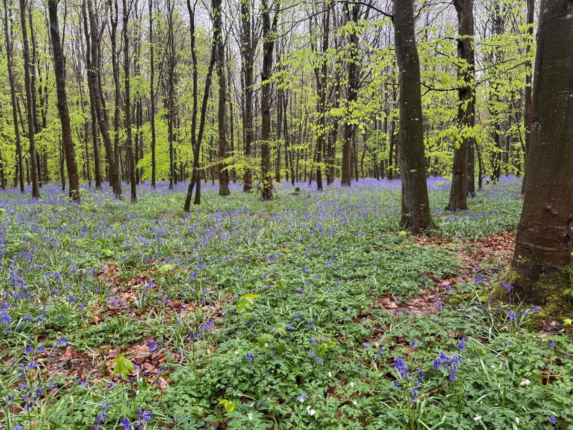 Camping L'Oree Des Caps Licques Екстер'єр фото